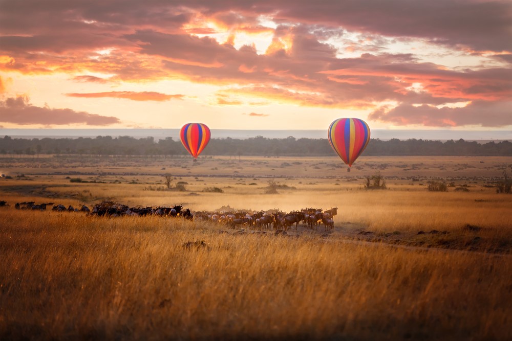 While countless memories have been created abroad, Pete recalls his African safari a highlight. - Blog While countless memories have been created abroad, Pete recalls his African safari a highlight.