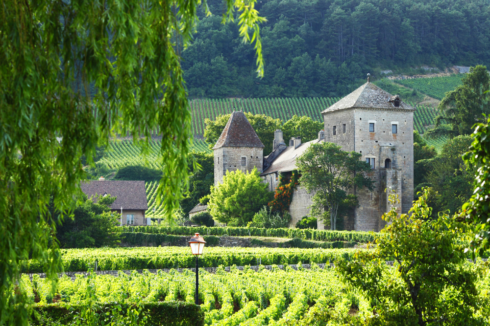French Winery - Blog French Winery