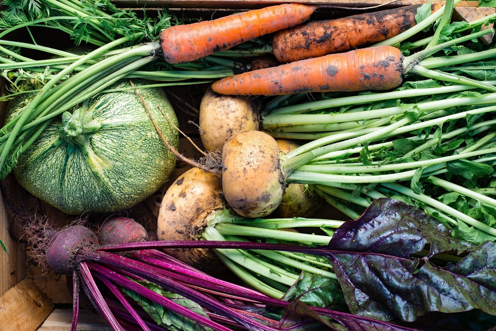 Vegetables - Blog Vegetables