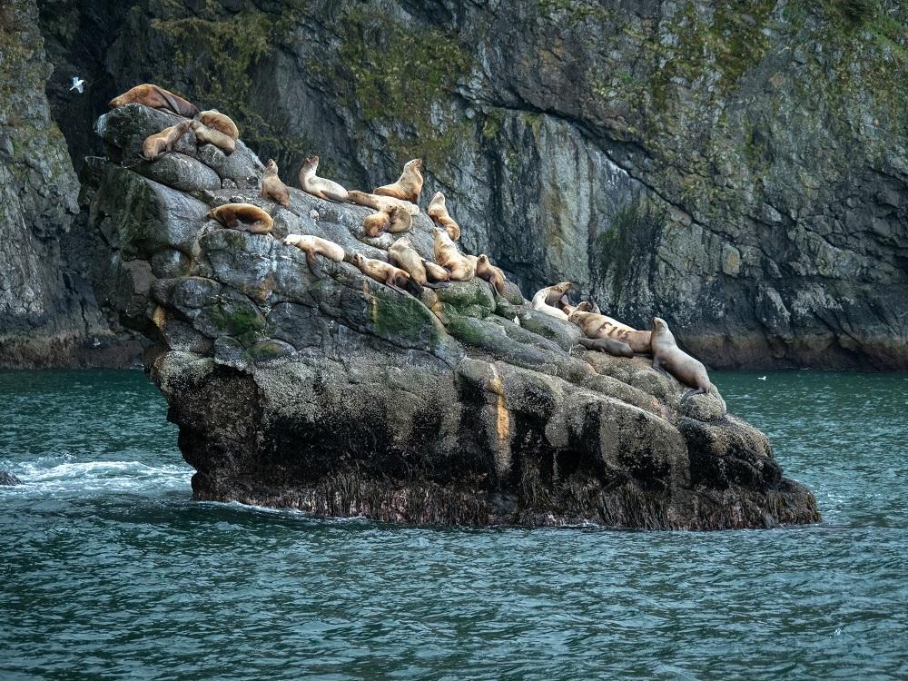 Celebrity Cruises - Alaska Celebrity Cruises - Alaska