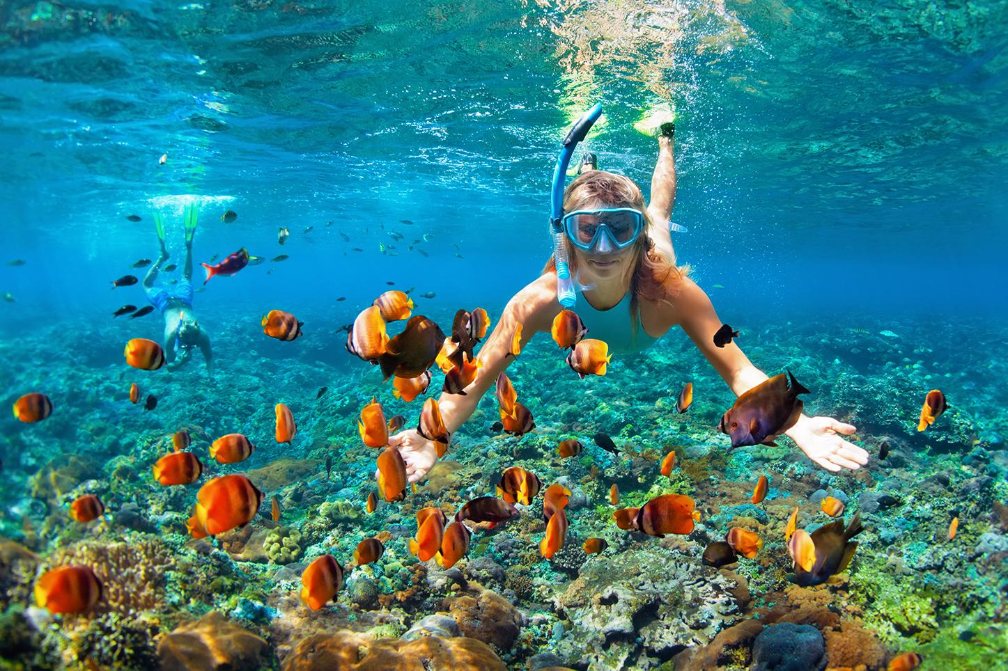 Sightseeing excursions crafted by World Start-up